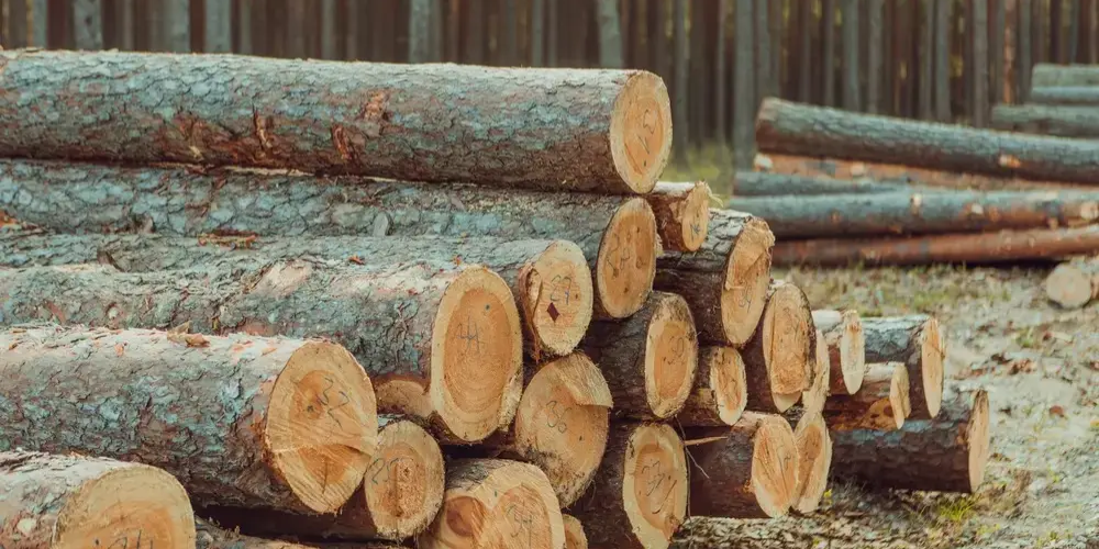 So Sánh Gỗ Tự Nhiên Và Gỗ Công Nghiệp: Giải Pháp Nào Tối Ưu Cho Ví Tiền Của Bạn?